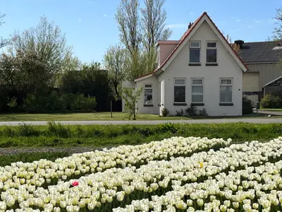 Außenseite Ferienhaus [Sommer]
