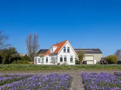 Außenseite Ferienhaus [Sommer]