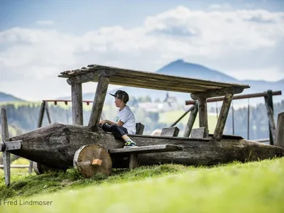 pension-kobichl_holzflieger_1