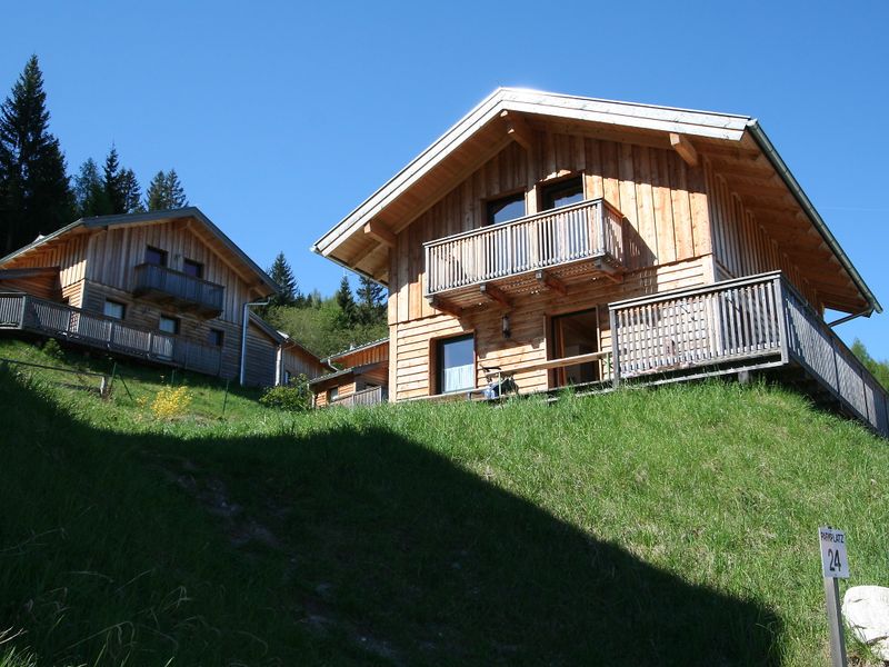 23842317-Ferienhaus-6-Annaberg (Salzburg)-800x600-0