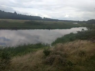 WaterView