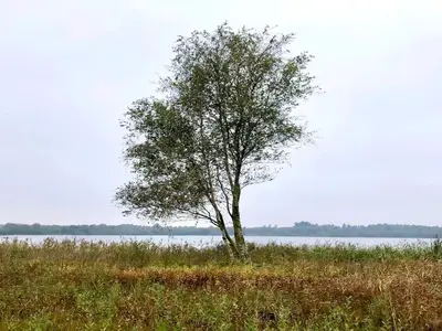 WaterView