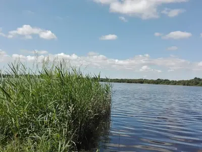 WaterView