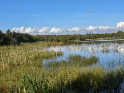 WaterView