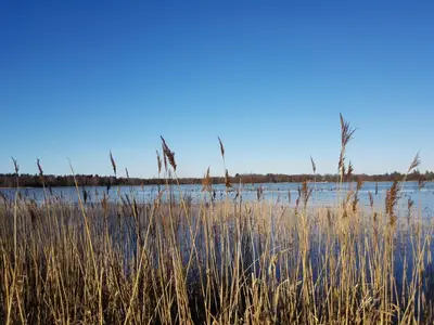 WaterView