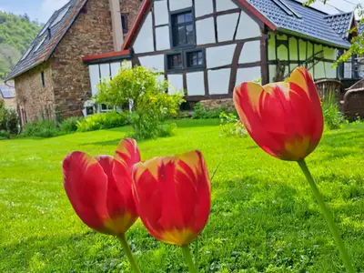 Frühling hält Einzug