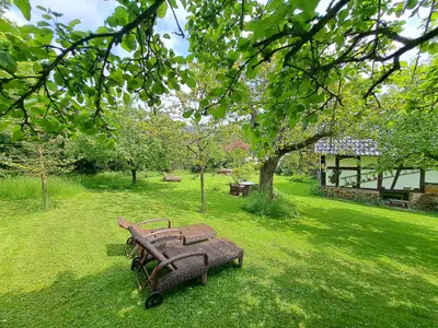 idyllischer Garten mit Obstbäumen