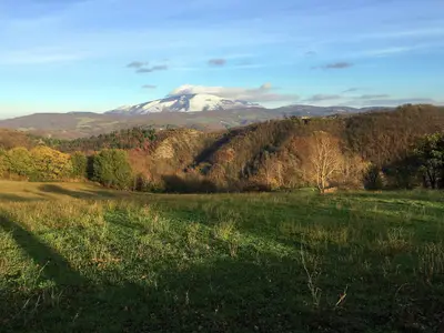 ViewSummer