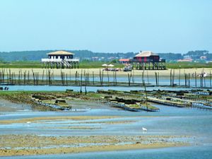 23857893-Ferienhaus-8-Arcachon-300x225-5