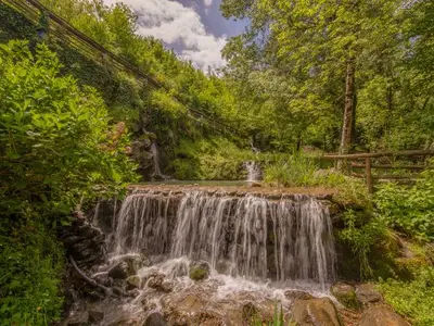 Ferienhaus für 15 Personen (300 m²) in Provinz Arezzo 3/10