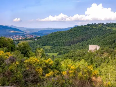 Ferienhaus für 8 Personen (160 m²) in Provinz Arezzo 7/10