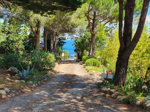 Ferienhaus für 4 Personen (44 m²) in Argelès-sur-Mer