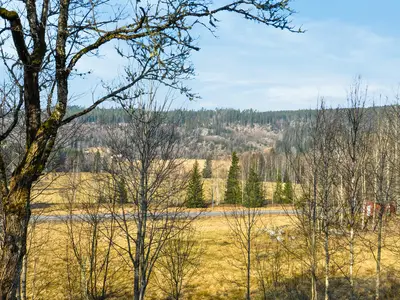 view-from-room