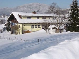 Ferienhaus für 4 Personen in Arnbruck