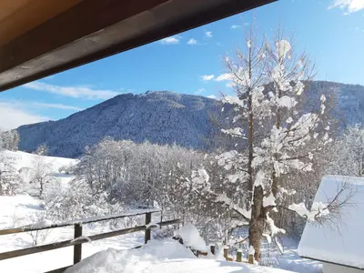 Blick Garten