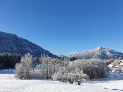 allgemein