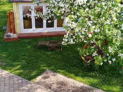 Ferienhaus für 2 Personen (55 m²) in Branchewinda 5/10