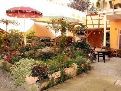 Ferienhaus für 4 Personen (50 m²) in Arnstadt 1/8