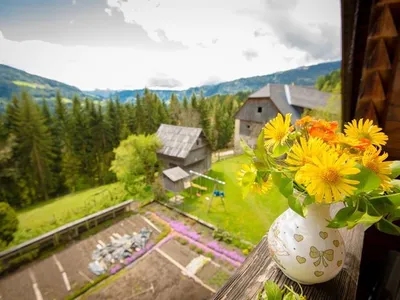 Ferienhaus für 7 Personen (75 m²) in Arriach 2/10