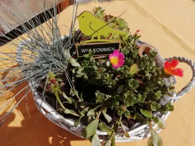 IMG-20190628-WA0003