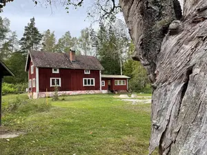 Ferienhaus für 7 Personen (118 m²) in Asarum