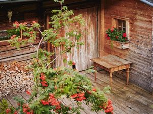 24013368-Ferienhaus-8-Aschau im Zillertal-300x225-4