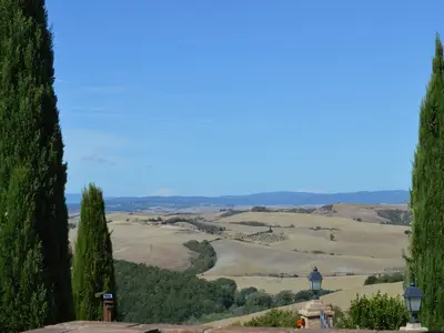 ViewSummer