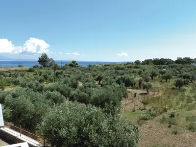 view-from-room