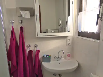 Ferienhaus für 4 Personen (45 m²) in Attendorn 8/10