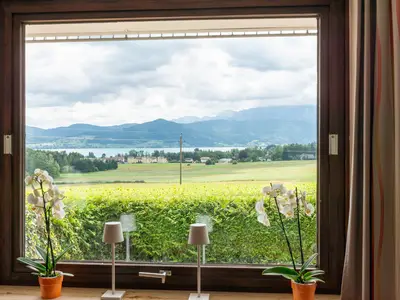 ViewSummer