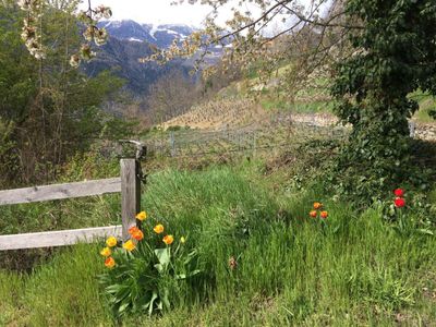 Garten, Richtung Westen, Frühling
