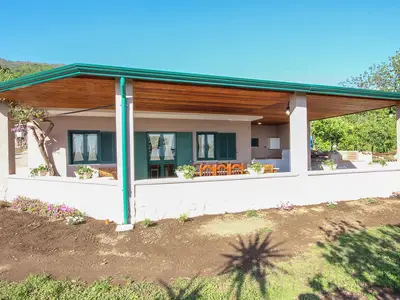 house house