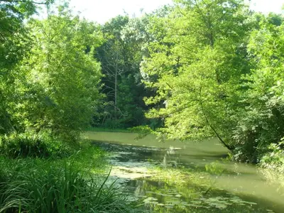 AreaSummer5KM
