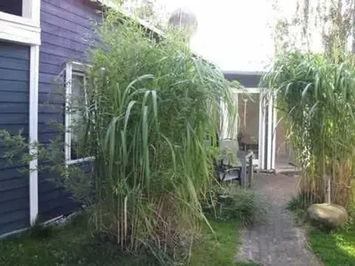 Ferienhaus für 5 Personen (57 m²) in Baabe 6/10