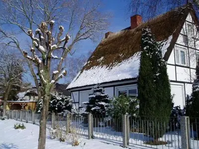 Ferienhaus für 5 Personen (57 m²) in Baabe 10/10