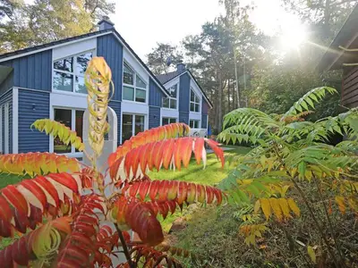 Ferienhaus für 7 Personen (95 m²) in Baabe 10/10
