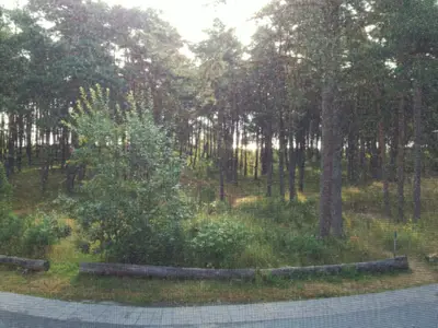 Ferienhaus für 5 Personen (77 m²) in Baabe 10/10