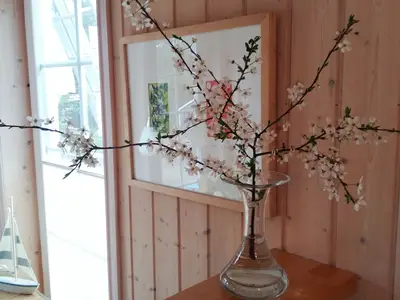 Ferienhaus für 6 Personen (85 m²) in Baabe 4/10