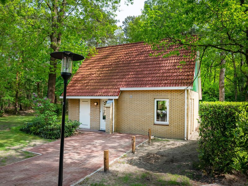 24013416-Ferienhaus-6-Baarschot (Hilvarenbeek)-800x600-1