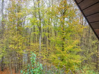 view-from-room