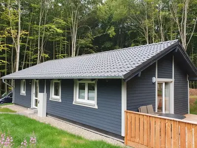 Ferienhaus für 6 Personen (77 m²) in Bad Arolsen 2/10