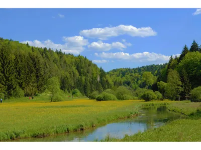 Ferienhaus für 4 Personen (80 m²) in Bad Birnbach 6/8