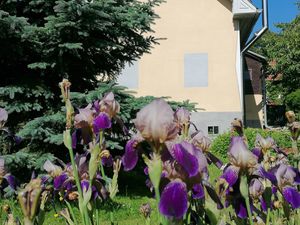 Ferienhaus für 4 Personen (70 m&sup2;) in Bad Blumau