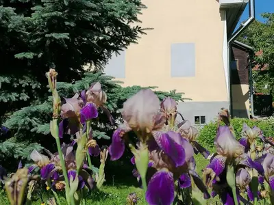 Ferienhaus für 4 Personen (70 m²) in Blumau 1/10