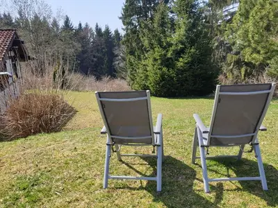 Ferienhaus für 4 Personen (45 m²) in Bad Dürrheim 10/10