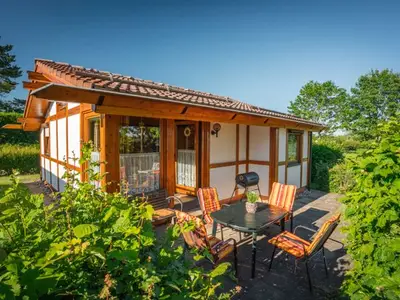 Ferienhaus für 4 Personen (45 m²) in Bad Dürrheim 9/10
