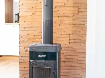 Ferienhaus für 4 Personen (60 m²) in Bad Elster 7/10