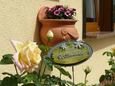 Ferienhaus für 3 Personen (36 m²) in Bad Frankenhausen 5/10