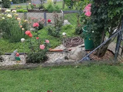 Ferienhaus für 2 Personen (40 m²) in Bad Gleichenberg 5/10