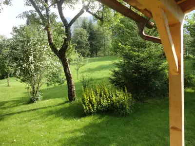 2000 m² Garten und Wiese mit Obstbäumen, Wald und freilebenden Rehen